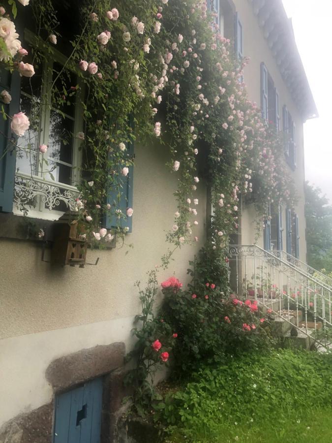 Bed & Breakfast Le Figarelou