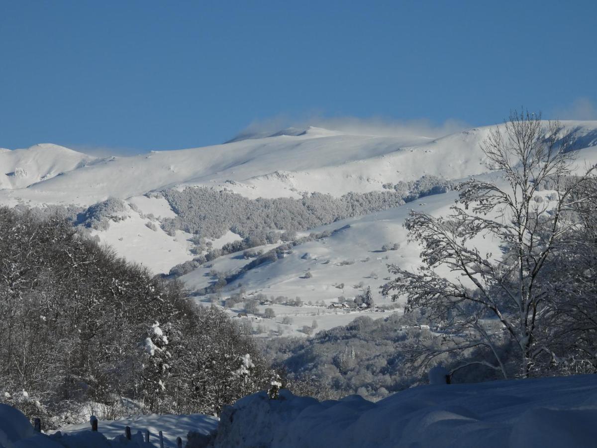 Le Figarelou *